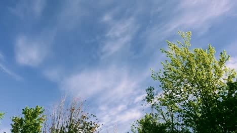 Zeitraffer-Blauer-Himmel-Mit-Wolken-Und-Grünen-Bäumen