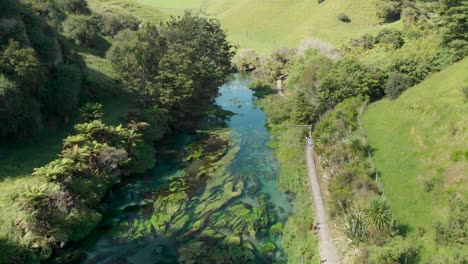 Luftaufnahme-Von-Te-Beau-Gehweg-In-Putaruru-Blue-Spring,-Neuseeland