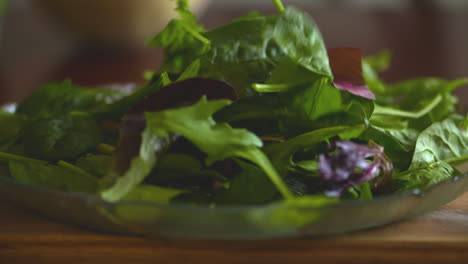 Slow-motion-footage-of-fresh,-green-salad-leaves-falling-into-a-pile-on-a-plate