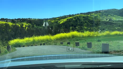 4k-60p,-drivers-view,-driving-down-a-step-hilltop-road-with-yellow-wild-flowers-on-a-summer-day