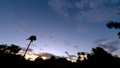 Time-Lapse-a-blue-sky-fills-with-orange-and-yellow-clouds-floating-over-a-silhouetted-foreground-of-a-palm-tree-and-other-flora,-Scottsdale,-Arizona