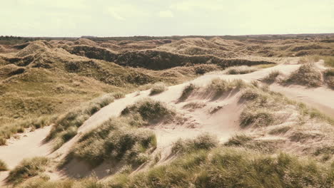 Malerischer-Blick-Auf-Die-Dünenlandschaft-Mit-Dünengras-An-Der-Atlantikküste-In-Dänemark