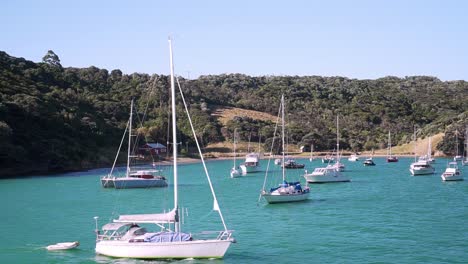 SLOWMO---Moving-shot-of-many-anchored-yachts-and-sailboats-in-bay-with-turquoise-water-on-Waiheke-Island,-New-Zealand