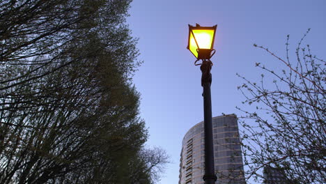 Wide-angle-footage-of-a-lamp-post,-buildings-and-trees