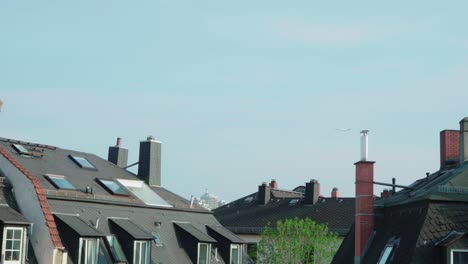 An-airplane-taking-off-behind-the-rooftop-of-houses