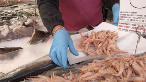 The-seller-with-blue-gloves-takes-the-shrimp-and-puts-on-the-paper-sheet,-retailing-fish-at-the-market
