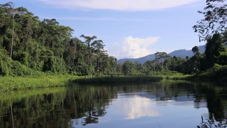 Flotando-En-Un-Tranquilo-Arroyo-En-La-Selva-Amazónica-En-Una-Naturaleza-Pacífica-Para-Observar-Aves-Cerca-De-Cusco,-Perú