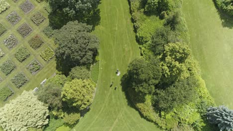 Drone-Birdview-of-a-Dutch-Wedding-Couple-Walking-hand-in-hand-in-a-Park-with-Photographers-Following