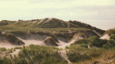 Malerischer-Blick-Auf-Die-Dünenlandschaft-Mit-Dünengras-An-Der-Atlantikküste-In-Dänemark