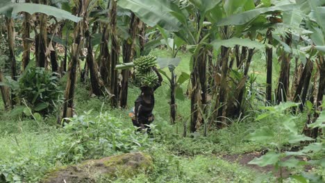 Afrikanische-Frau,-Die-Einen-Steilen-Hügel-In-Einem-Dschungel-Hinaufgeht,-Während-Sie-Eine-Ladung-Bananen-Auf-Dem-Kopf-Trägt