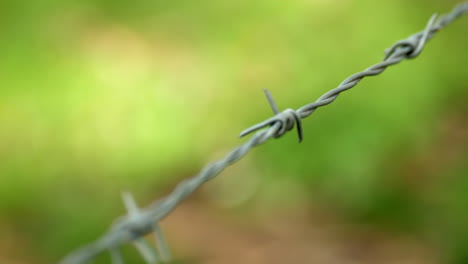 Barb-wire-fence-with-blurred-background,-CLOSE-UP,-PAN-RIGHT