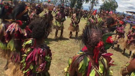 Group-of-aboriginal-dancing,-Papua-New-Guinea