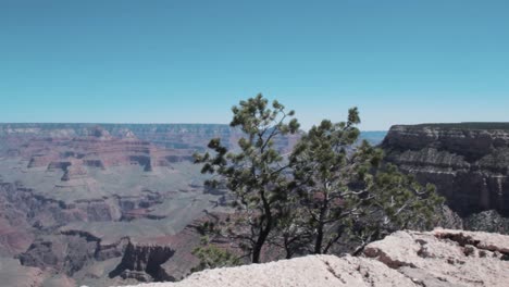 Blick-Auf-Den-Grand-Canyon