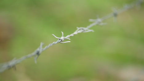 Barb-wire-fence,-CLOSE-UP,-PAN-RIGHT