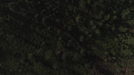Filmisch-Aufschlussreiche-Drohnenaufnahme-Eines-Wunderschönen-Hügels-über-Bäumen