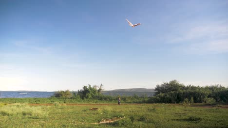 A-wide-shot-of-a-young-boy-flying-a-kite-by-the-shores-of-a-Lake-in-Africa