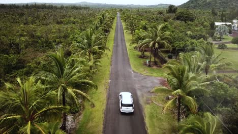 Drohnenaufnahme-Nach-Einem-Auto,-Das-Durch-Eine-Tropische-Straße-Fährt,-Die-Von-Kokospalmen-Und-Palmen-Auf-Der-Großen-Insel-Hawaii-Gesäumt-Ist