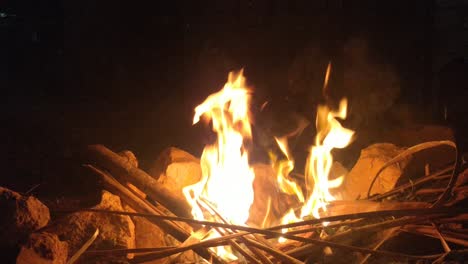Brennende-Bäume-In-Der-Nacht
