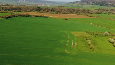 Luftaufnahme-Der-Grünen-Farm-In-Frankreich