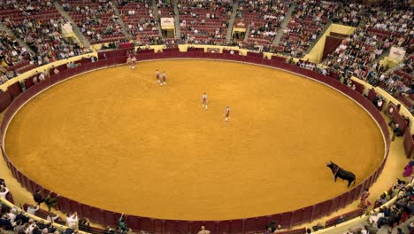 Eight-forcados-line-up-to-confront-bull-in-Pega-stage-of-Portuguese-bullfight-in-Lisbon,-Portugal