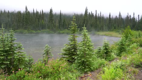 A-misty-lake-background-at-one-of-Mt
