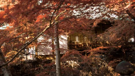 Looking-through-the-orange-momiji-leaves-in-the-autumn-season-with-a-temple-in-the-distance-in-Kyoto,-Japan-soft-lighting-slow-motion-4K