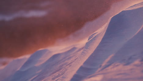 Slowmotion-close-up-of-snow-blowing-in-the-wind-as-sunset-lights-the-scenery-orange-in-the-background