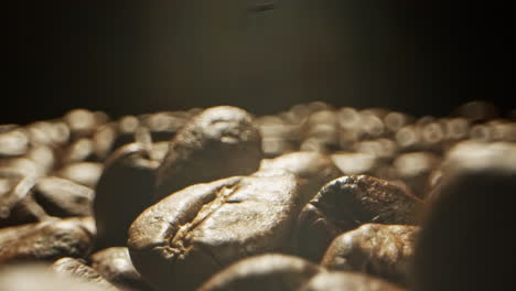 Coffee-beans-falling-from-above-with-a-single-bean-in-focus-in-front