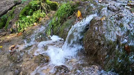 Forest-small-waterfall,-time-lapse