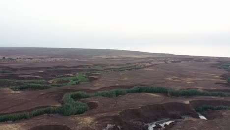 Aerial-shot-brown-desert-cracks-filled-with-green-vegetation,-drone-shot