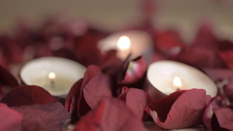 Tea-light-candles-burning-with-red-rose-petals-dropping-in-background