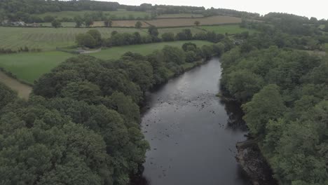 Aerial-shot-above-a-river-following-its-path-through-the-trees