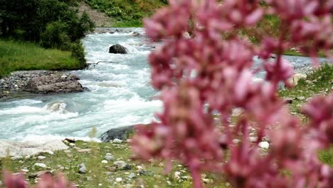 Fließende-Flüsse-Im-Tal-Von-Kirgisistan