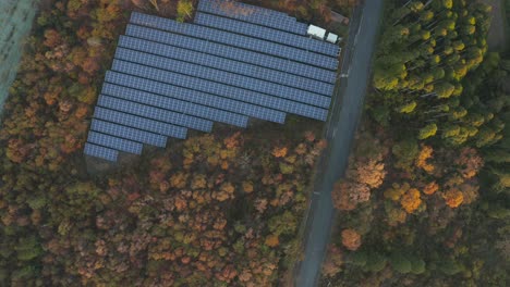 Solar-Panels-in-Autumn-Forest-at-Metasequoia-Namiki,-Shiga,-Japan