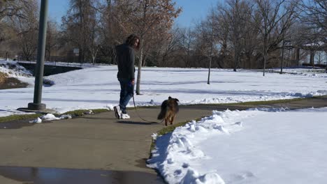 Man-with-long-hair-walking-a-brown-dog-in-the-park-during-Winter