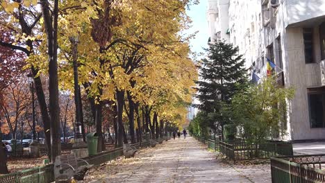 Bucharest,-Romania-9November-:-Walking-in-in-the-park-on-the-sidewalk-in-an-autumn-day,-with-people-around-and-the-sun-reflected-on-the-buildings-and-leaves-fallen-from-the-trees