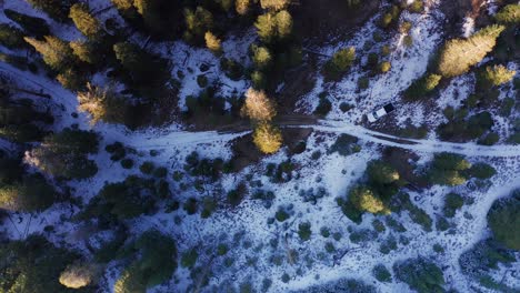 Aerial-Drone-Elevating-out-of-forest-with-Pickup-Truck-in-Mammoth-Lakes-California-USA