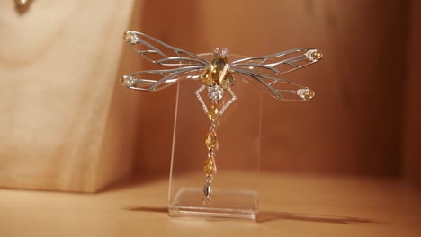Closeup-of-dragonfly-shape-jewellery-in-display