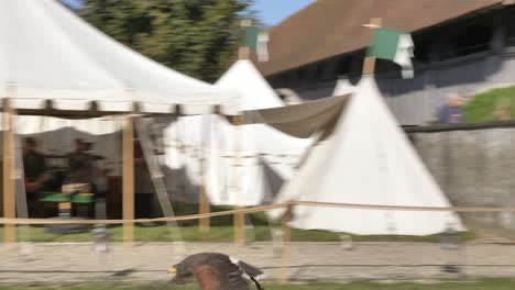 Eagle-flight-at-Medieval-event,slow-motion-follow-shot