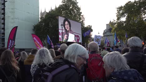 La-Gente-Escucha-Los-Discursos-En-Las-Protestas-Del-Voto-Popular-En-Londres,-Reino-Unido