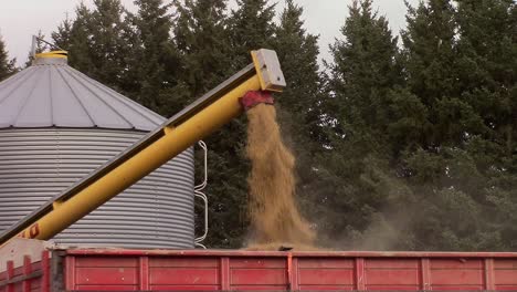 Slomo-of-dusty-barley-being-augered-into-a-grain-truck-and-beginning-to-pile-up-higher-than-the-truck-box