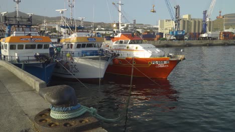 Machico,-Insel-Madeira,-Portugal,-Fischerboote-Der-Azoren-Im-Hafen-Von-Caniçal-Verankert
