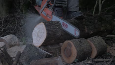 Man-cutting-felled-tree-Chainsaw-MID-SHOT