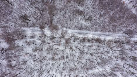 Railway-and-snowy-woods-in-Hungary
