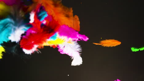 Colorful-bunch-of-feathers-floating-and-falling-in-slow-motion