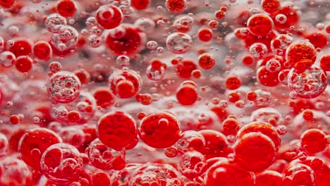 macro-shot-of-big-red-bubbles-floating-in-water