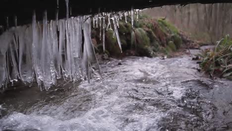 pan-shot-of-little-creek-run-underneath-log-with-hanging-icicle-dripping