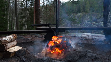 Campfire-in-the-forest