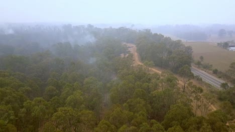 Aerial-view-of-eucalyptus-tree-forest-on-fire-during-the-bushfire-near-the-city-of-Sydney,-Drone-flyover-shot-with-tilt-down