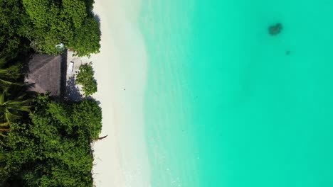 Tropical-trees,-white-sand-beach,-calm-turquoise-sea-water,-aerial-background
